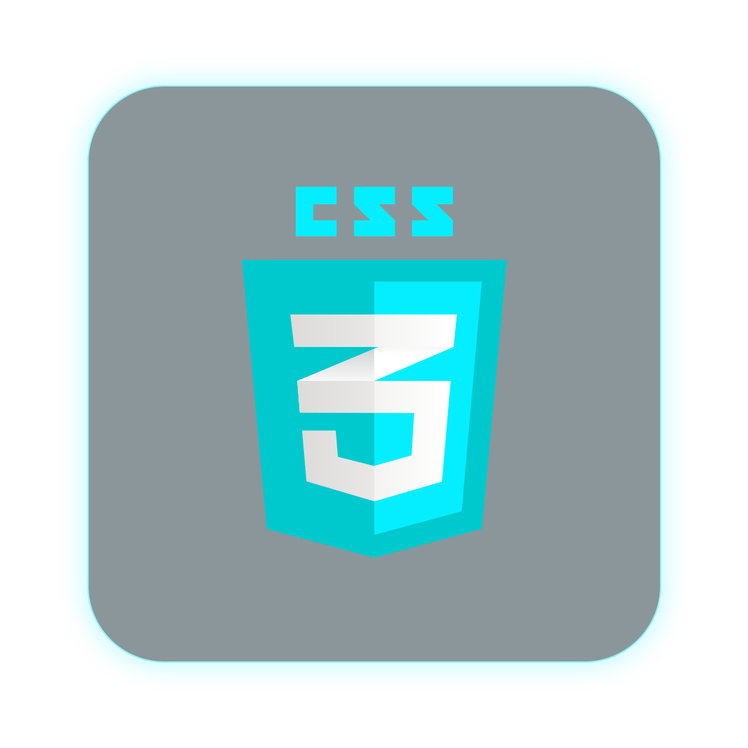 CSS icon