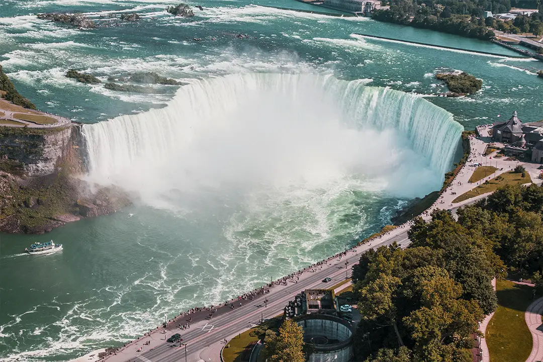 Adson Mettler profile photo